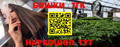 дмт Сланцы