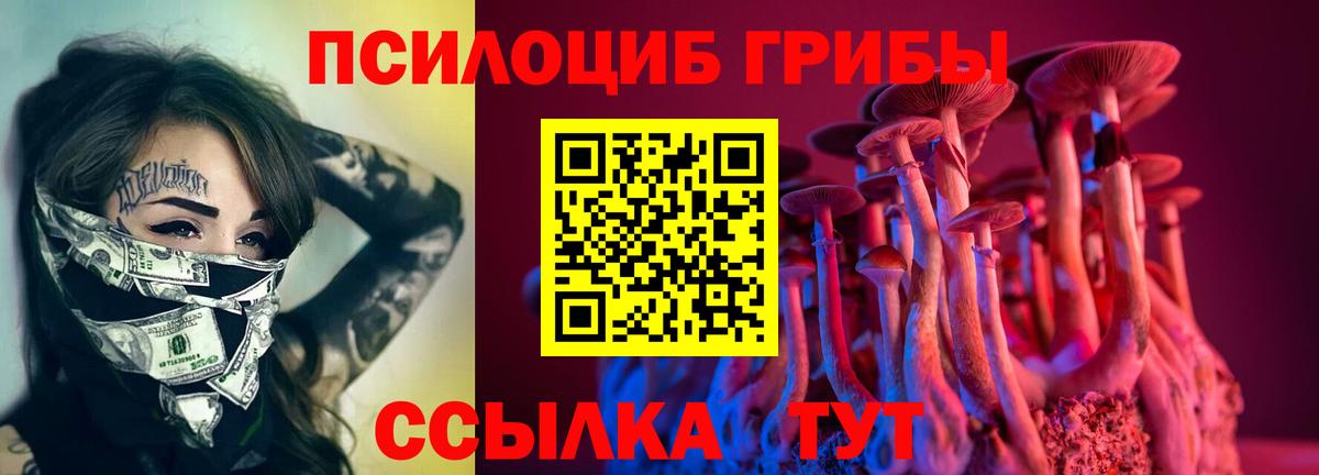 Псилоцибиновые грибы мухоморы Острогожск